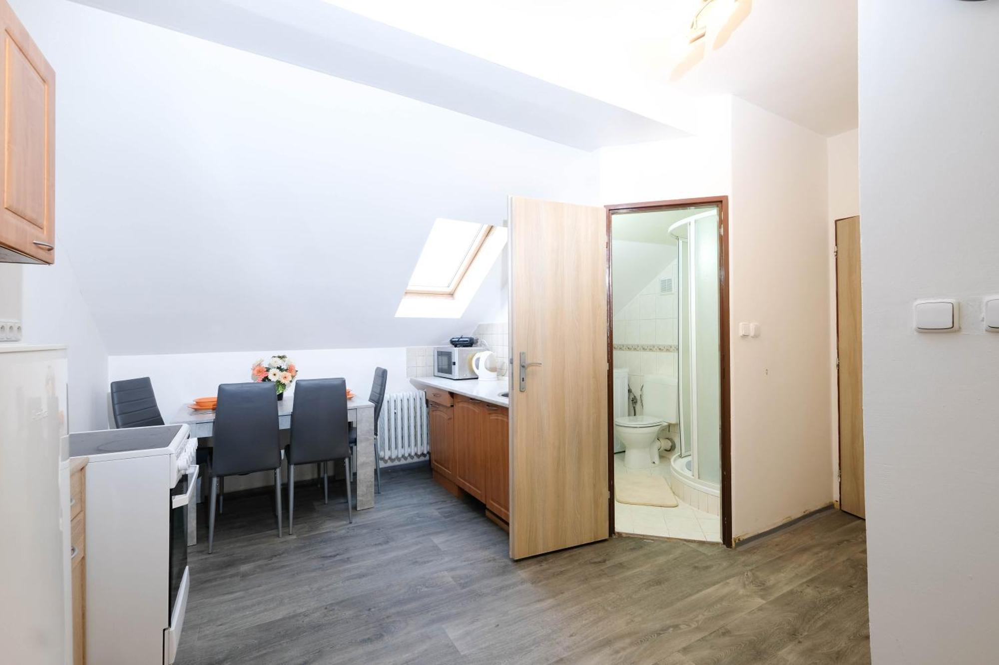 Apartments Alena - Karlovy Vary Extérieur photo