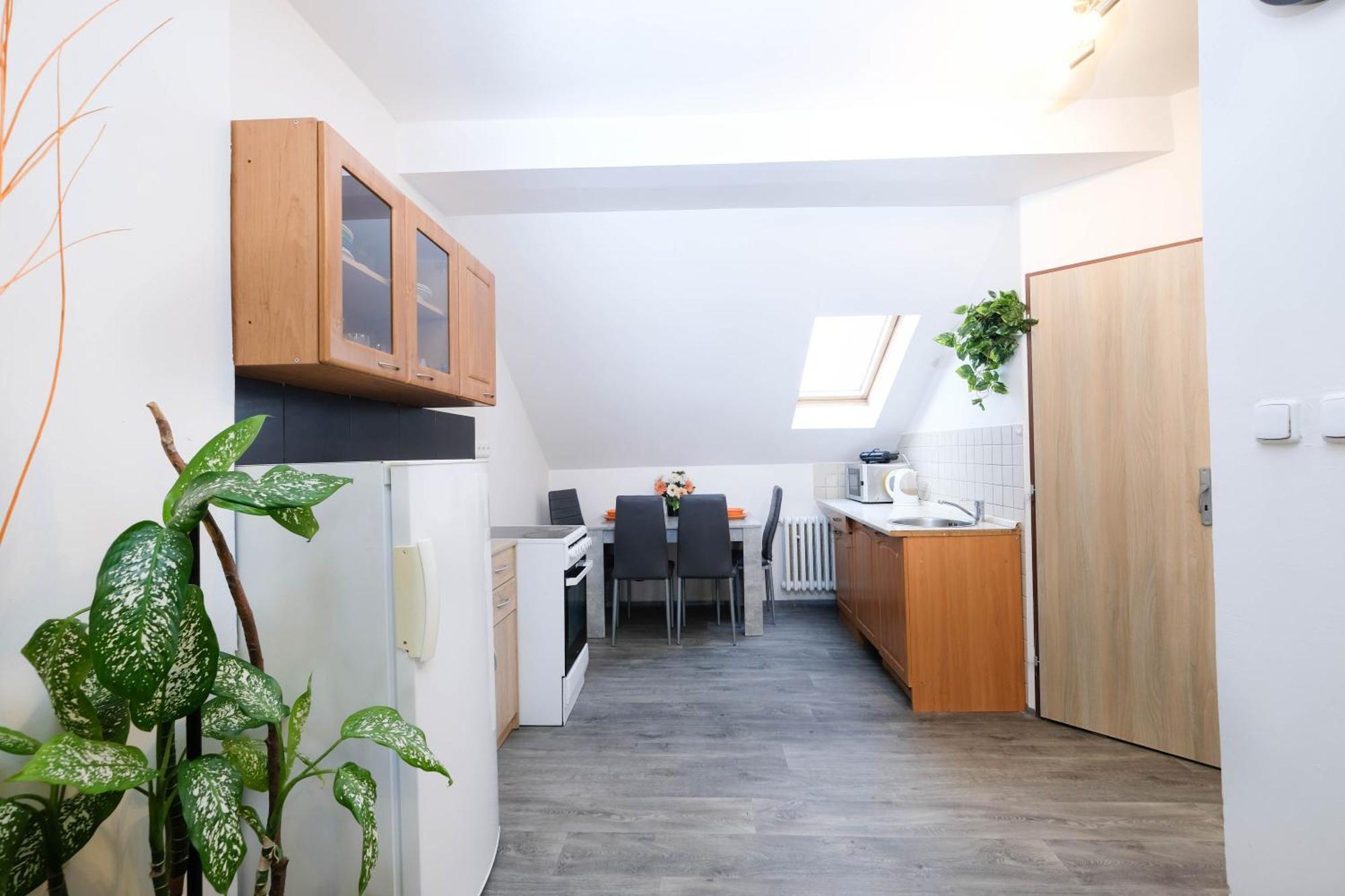 Apartments Alena - Karlovy Vary Extérieur photo