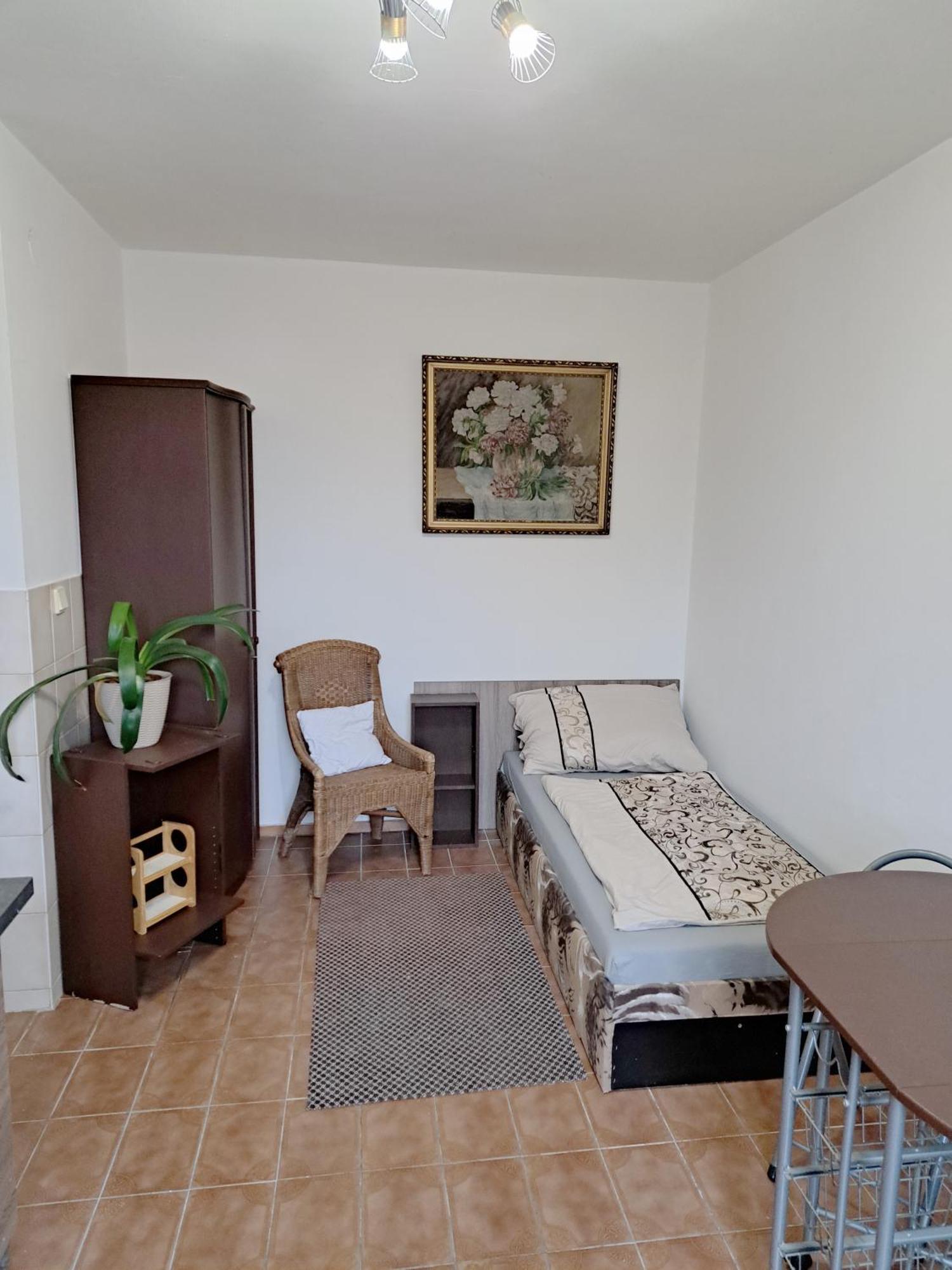 Apartments Alena - Karlovy Vary Extérieur photo